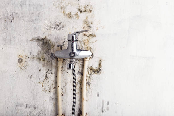 Best Residential Mold Removal  in Fiskdale, MA