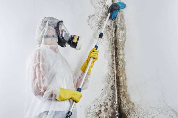 Water Damage Restoration in Fiskdale, MA