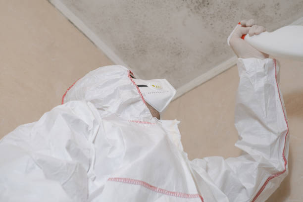 Best Certified Mold Removal  in Fiskdale, MA